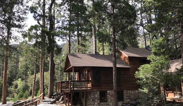 Rare & Authentic in Prime Location, Views, Chef Kitchen & Style