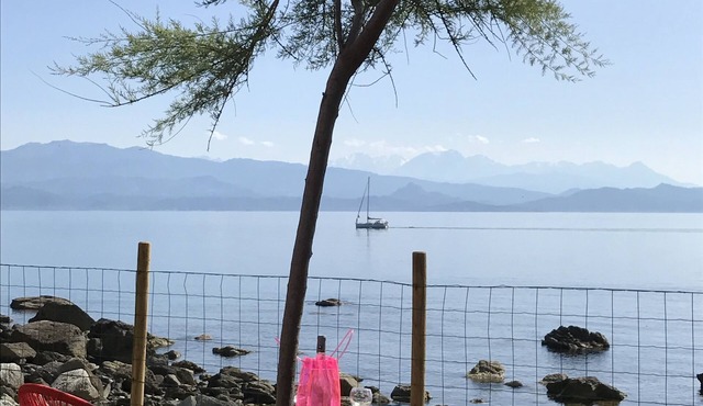 Rare, Cap Corse seaside. House with large garden and direct access to the sea.