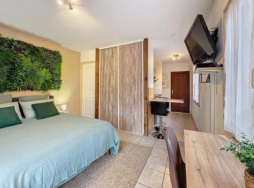 Rare en centre ville, studio climatisé avec terrasse XXL