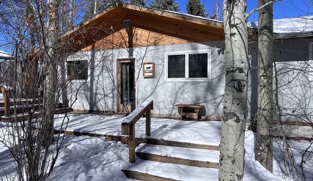 Rare Find! Cozy cottage tucked away, private setting next to creek near downtown