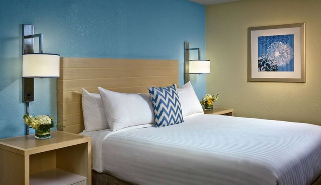 Rare Find! Outdoor Pool, Pets Allowed, Near Memphis Rock n Soul Museum!