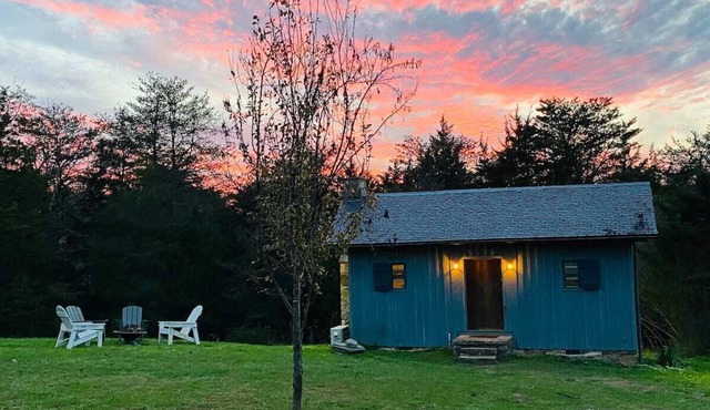 Rare Find: Private Animal Sanctuary & Tiny Cottage