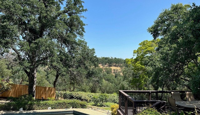 Rare Find! Yellow House Sanctuary on Hinkle Creek
