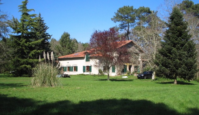 Rare forest house (1290ft², bedroom 485ft²), untouched nature with swimming lake