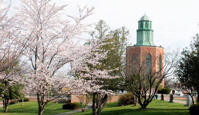 Rare Gem! Walk to City Cellar Wine Bar & Grill, FREE Parking and Pets Allowed!