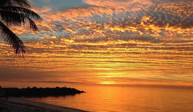 Rare private tropical island beach, watch "Sea Isle #8" on YouTube - link below