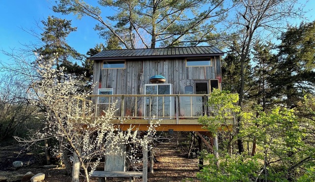 RARE Spacious Treehouse & Sauna Near Des Moines