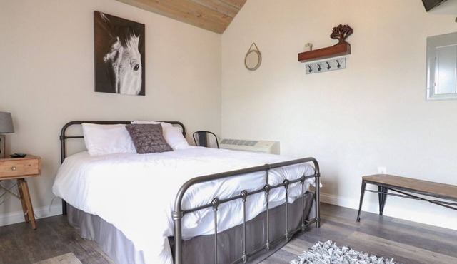 Rattler - Close to the Ark Encounter