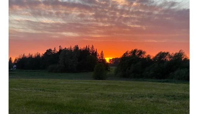 Ravens’ pad campsite at June Bud Farms