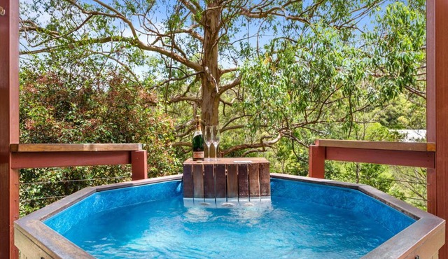 Ravensbourne Escape-Tree Tops