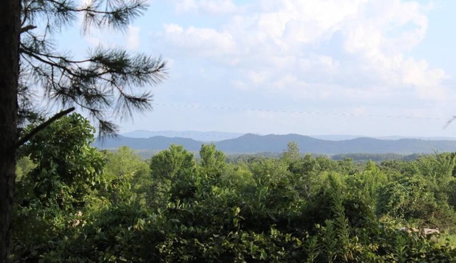 Ravensong is a cozy cabin that borders Ouachita National Forest! Pets allowed