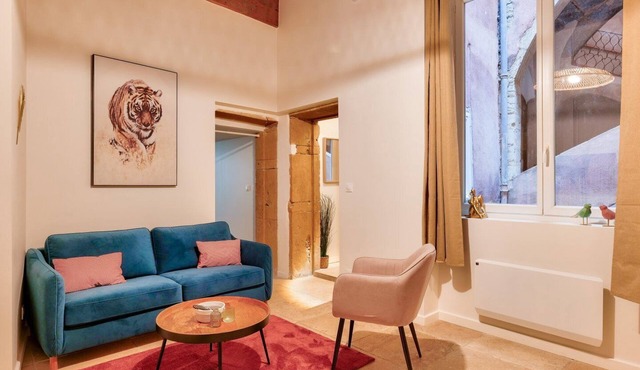 Ravissant Appart Proche de la Place des Terreaux