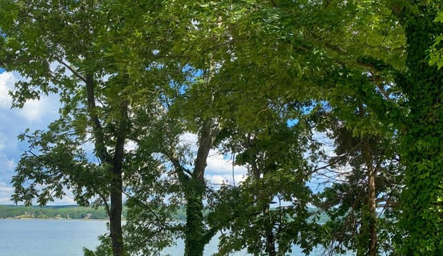 Ray's Retreat - Pickwick Lake - Great Getaway