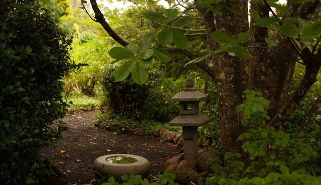 Rayfields@Berry - Stunning Position on Outstanding Acrerage