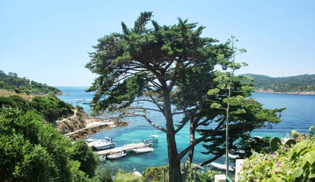 RC d'un Cabanon écologique ile du levant Naturiste reservable du samedi au samedi