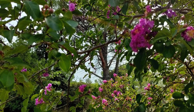 Rdc de villa en Drôme Provençale avec piscine privative et entrée indépendante