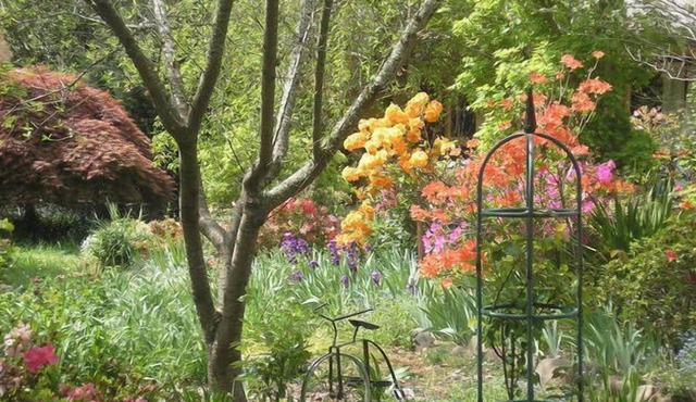 Reading Annie's Garden