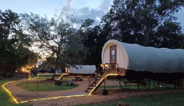 Real 1800's style Luxury Covered Wagon at a Farm Animal Sanctuary!