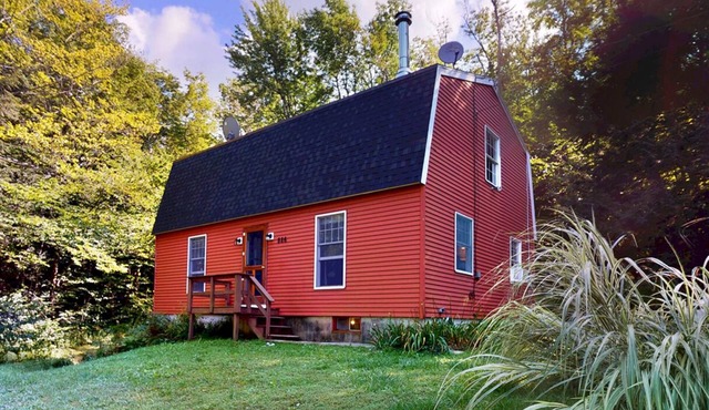 Real Estate: Therapy - Lake, Laundry, Love it