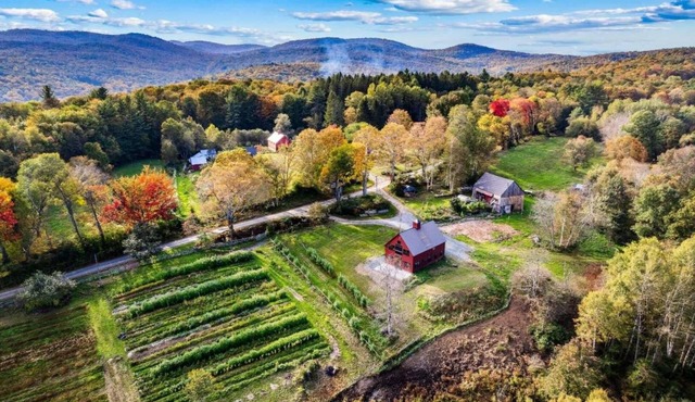 Real Farm! - The Barn at Winterfound Farm