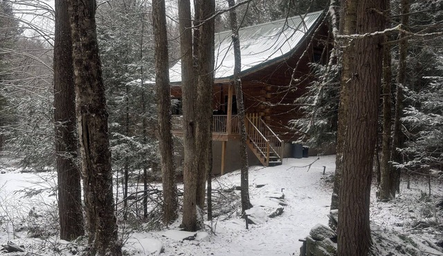 Real log cabin in the forest with modern amenities for the nature lover