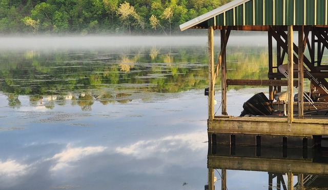 Real Log Cabin On Lake Taneycomo w/ Boat Slip