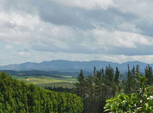 Real Relax Ninety-Nine