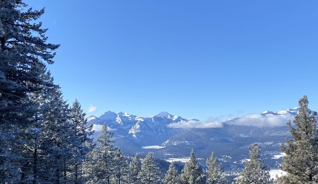 Real stone cabin, wake to million dollar views, abundant wildlife.
