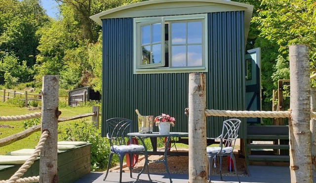 REALLY luxurious new shepherd's hut, overlooking our alpacas!