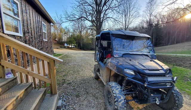 RealTree Camo Cabin 2