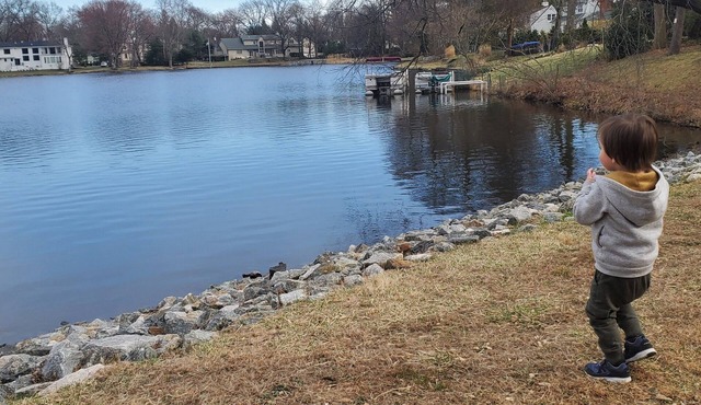 Rebovation mandatory for Lake House in Bergen County