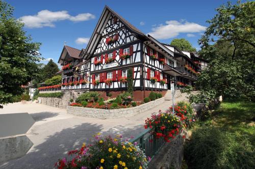 Rebstock Waldulm in Kappelrodeck