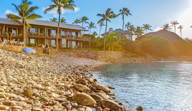 Recently remodeled 3 bedroom, snorkel in private cove, walk to top rated beaches (Unit 217)