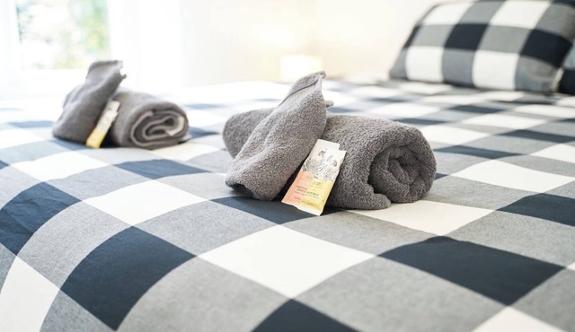 Recently Renovated Central Apartment