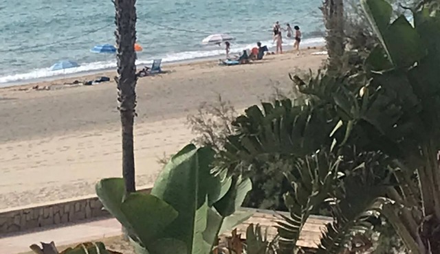 Recreation, Indulgence, Diversion, Sport and Playa