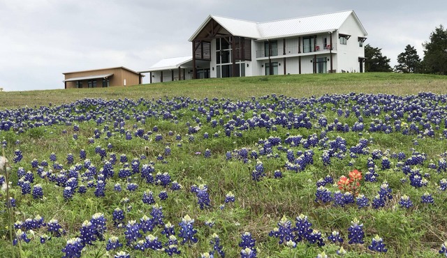 Red Berry Hollow for a Wedding Party, Aggie Event, Round Top or Family Retreat!