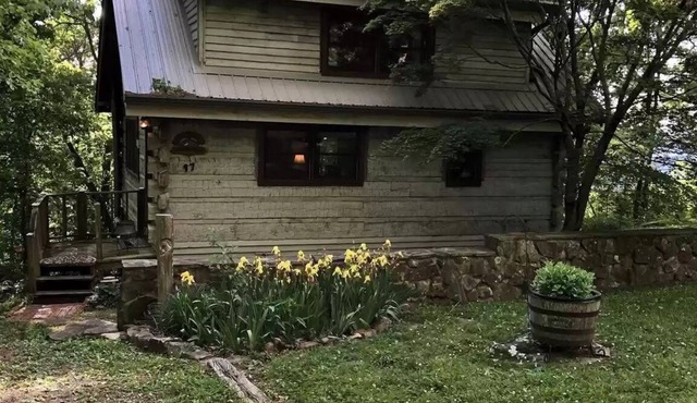Red Bird Roost - Cozy log cabin on the Brow steps to downtown and Brow Park