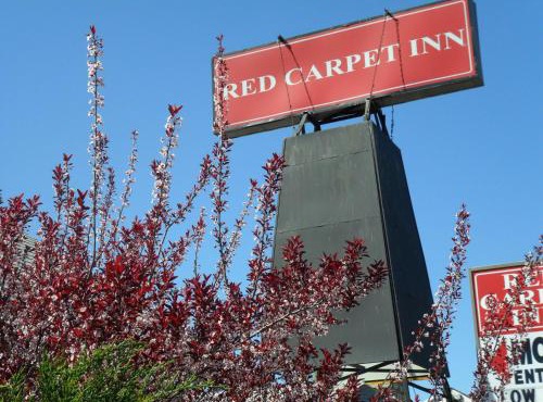 Red Carpet Inn Brooklawn