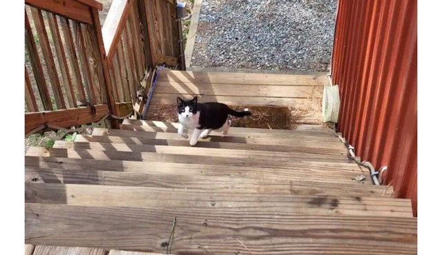 Red Dog Farm South Oak - 2 bedroom barn apartment.