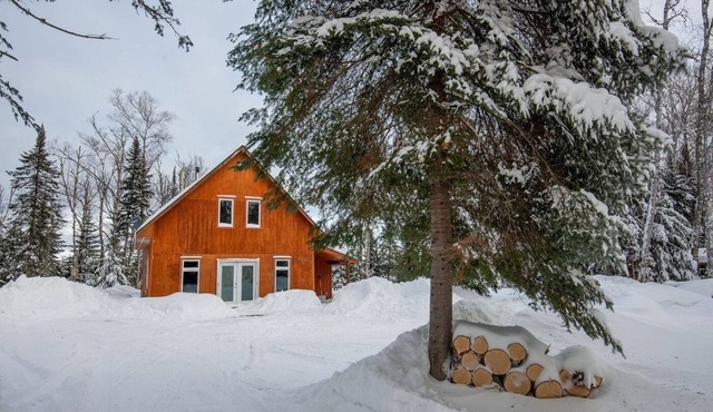 RED FOX CABIN ON DEVIL TRACK LAKE IN GRAND MARAIS, MN! CHARMING & REFINED!