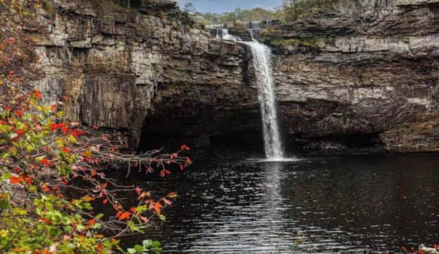 Red Goose Pond | Mins to Desoto Falls, Fire Pit