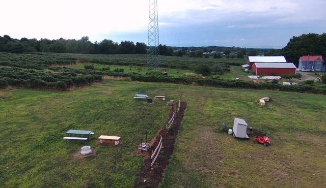 Red Haven Camp site #3