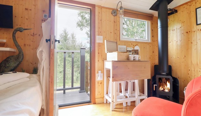 Red Kite at Wild Valley Huts