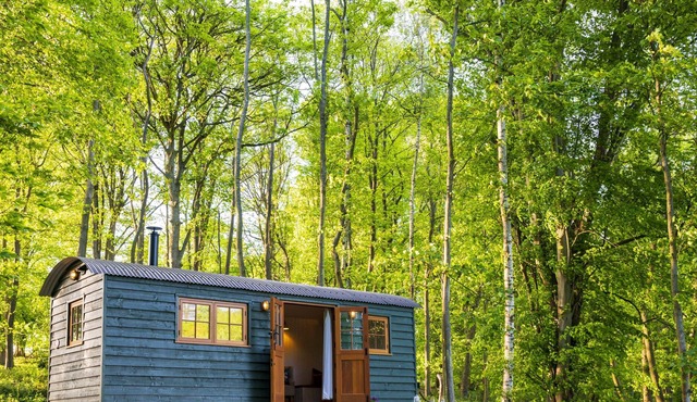 Red Kite Retreat - Allium - Shepherds Hut 2