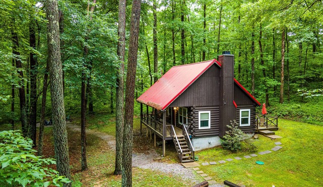 Red Roof Cabin in the woods