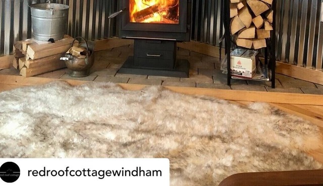 ‘Red Roof Cottage’ Windham *Updated home minutes to the mountain