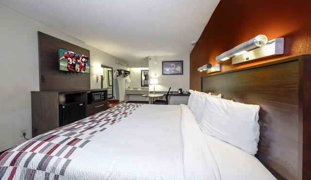 Red Roof Inn Tampa - Brandon