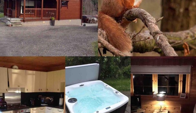 Red Squirrel log cabin with hot tub