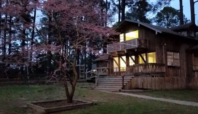 Redbud Cabin at Tall Timbers Retreat. Sleeps 17