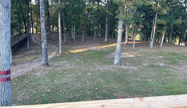 Redfish at Eufaula, AL
